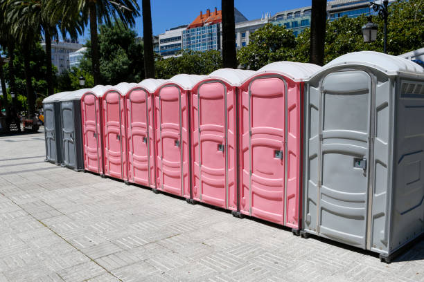 Types of Portable Toilets We Offer in Duvall, WA